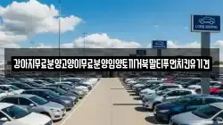 강아지무료분양고양이무료분양입양토끼거북말티푸먼치킨유기견