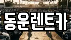 동운렌트카