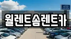 충북 청주시 상당구 남일면 렌트카,단기렌트카,장기렌트카,중고차,중고차매매,중고차매입