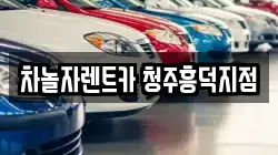 차놀자렌트카 청주흥덕지점