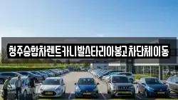 청주승합차렌트카니발스타리아봉고차단체이동
