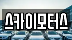스카이모터스