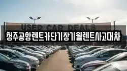 청주공항렌트카단기장기월렌트사고대차