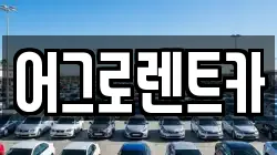 어그로렌트카