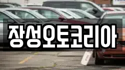장성오토코리아