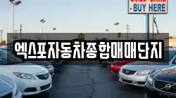 엑스포자동차종합매매단지
