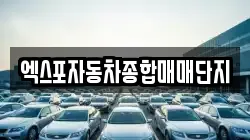 엑스포자동차종합매매단지
