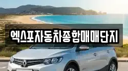 엑스포자동차종합매매단지