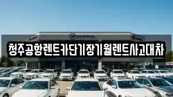 청주공항렌트카단기장기월렌트사고대차