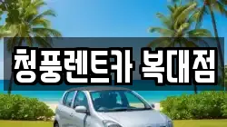 청풍렌트카 복대점