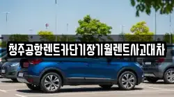 충북 청주시 흥덕구 석곡동 렌트카,단기렌트카,장기렌트카,중고차,중고차매매,중고차매입
