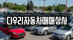다우리자동차매매상사