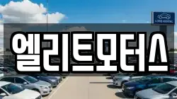 엘리트모터스
