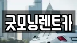 굿모닝렌트카