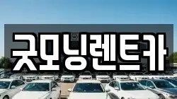 굿모닝렌트카