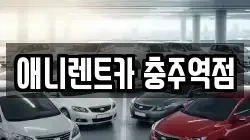 애니렌트카 충주역점