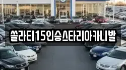 충북 충주시 성남동 렌트카,단기렌트카,장기렌트카,중고차,중고차매매,중고차매입