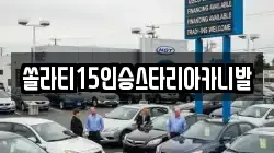 충북 충주시 안림동 렌트카,단기렌트카,장기렌트카,중고차,중고차매매,중고차매입