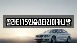 충북 충주시 직동 렌트카,단기렌트카,장기렌트카,중고차,중고차매매,중고차매입