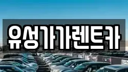 유성가가렌트카