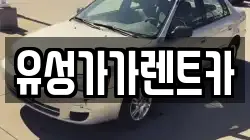 유성가가렌트카