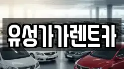 유성가가렌트카
