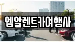 엠알렌트카여행사