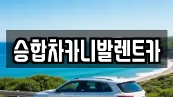 승합차카니발렌트카