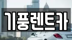 충청남도 공주시 상왕동 렌트카,단기렌트카,장기렌트카,중고차,중고차매매,중고차매입