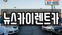 뉴스카이렌트카