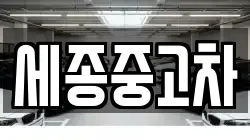 세종중고차