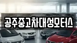 공주중고차대성모터스