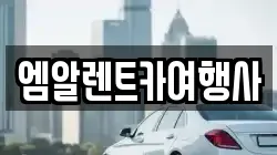 엠알렌트카여행사