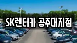 충청남도 공주시 월미동 렌트카,단기렌트카,장기렌트카,중고차,중고차매매,중고차매입
