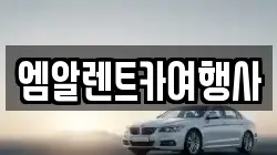 엠알렌트카여행사