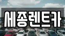 세종렌트카