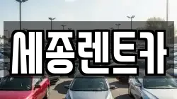 세종렌트카