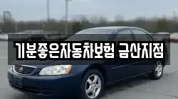 기분좋은자동차보험 금산지점