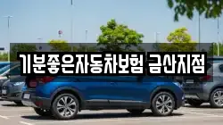 기분좋은자동차보험 금산지점