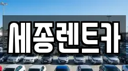 세종렌트카