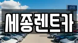 세종렌트카
