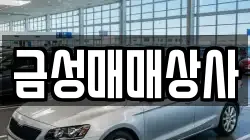 금성매매상사