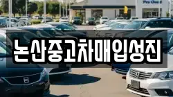 논산중고차매입성진