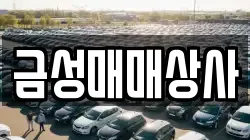 금성매매상사