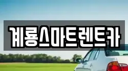 충청남도 논산시 벌곡면 렌트카,단기렌트카,장기렌트카,중고차,중고차매매,중고차매입