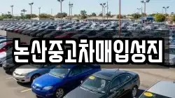 논산중고차매입성진