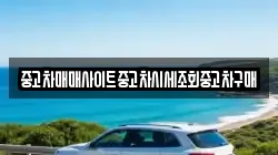 충청남도 당진시 구룡동 렌트카,단기렌트카,장기렌트카,중고차,중고차매매,중고차매입