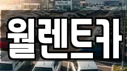 월렌트카