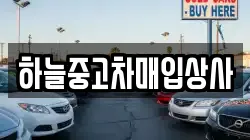 하늘중고차매입상사