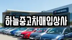하늘중고차매입상사